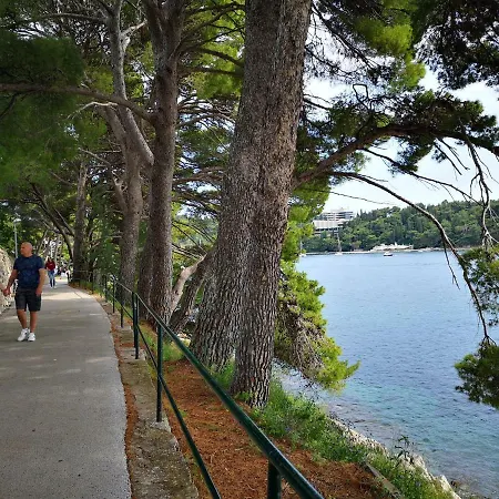 Nespola Cavtat